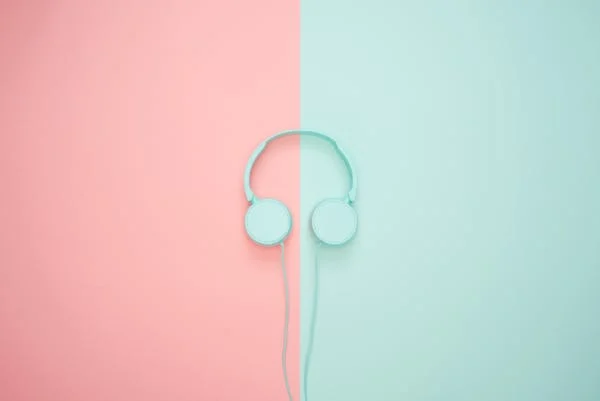 Website Designing & Development